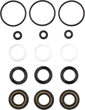 Kit 34262 C17 CAT Pumps Compatible OEM Replacement Seal Packing Kit 14mm for CAT 6DX and 66DX Pumps, Made in Italy, Exceeds OEM Standards